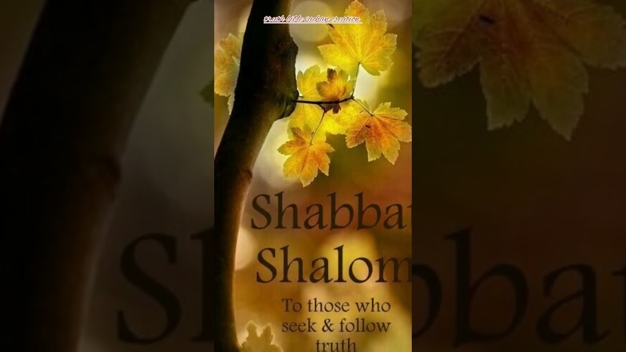 shabbat Shalom #shalom #shabbat #shalomministries #shorts #shabbatshalom