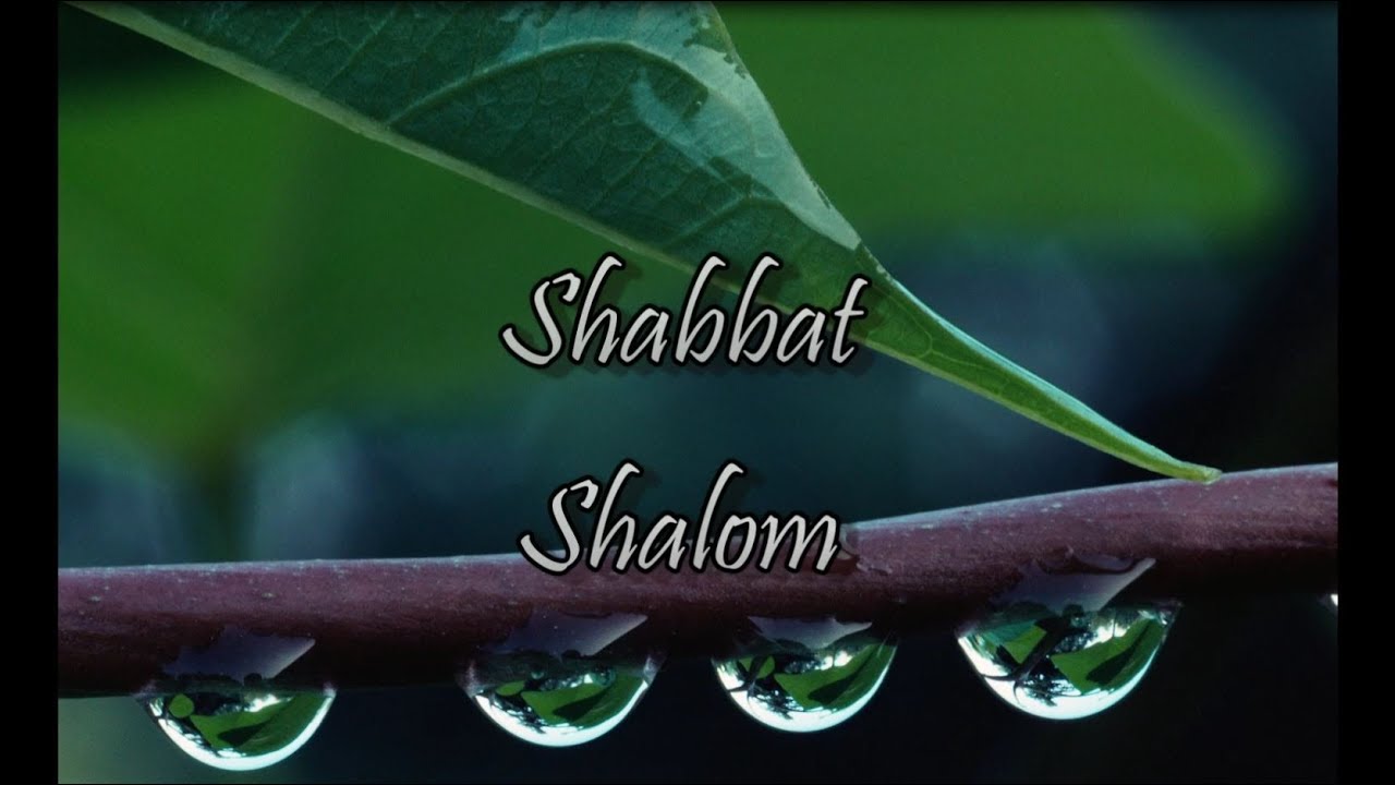 Shabbat Shalom  – By Steve Wiggins