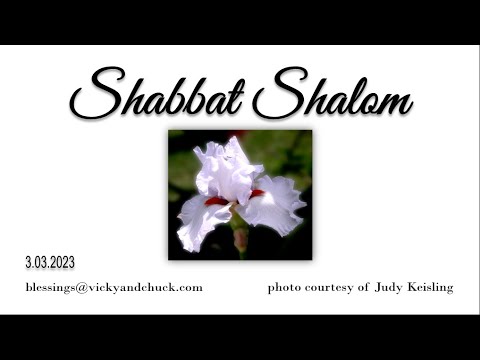 SHABBAT SHALOM | 3 03 2023