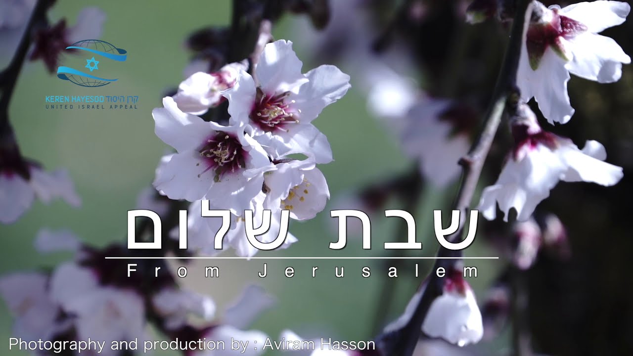 Shabbat Shalom and a Happy Tu BiShvat from Jerusalem