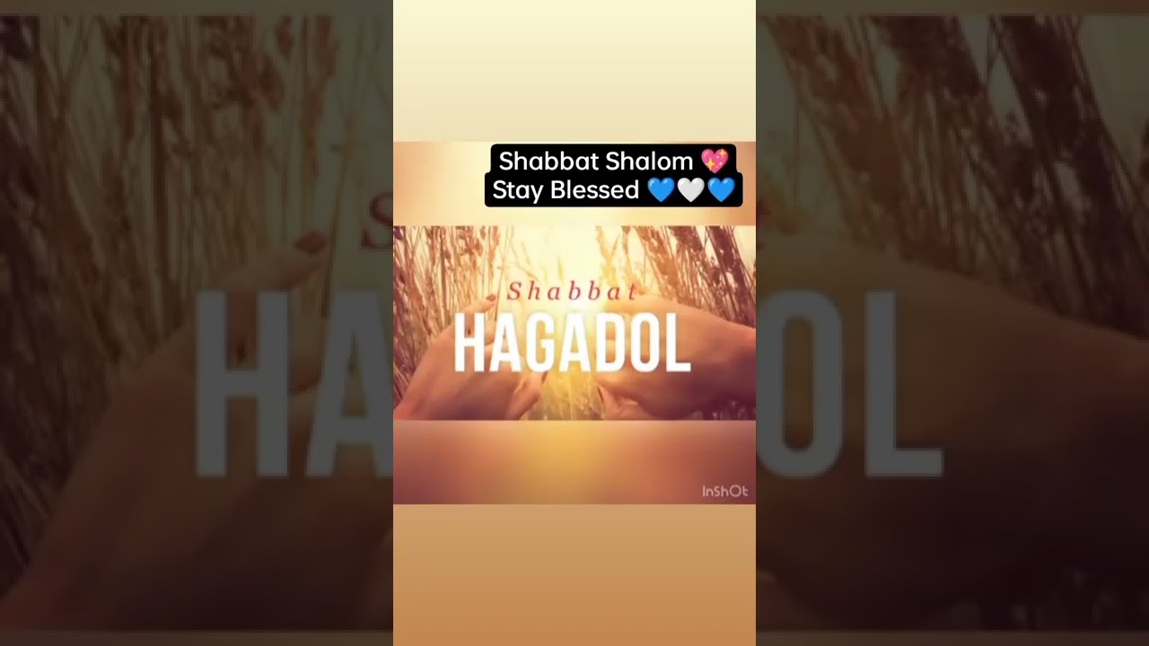 Shabbat Shalom 💕💕💙🤍💙💕💕