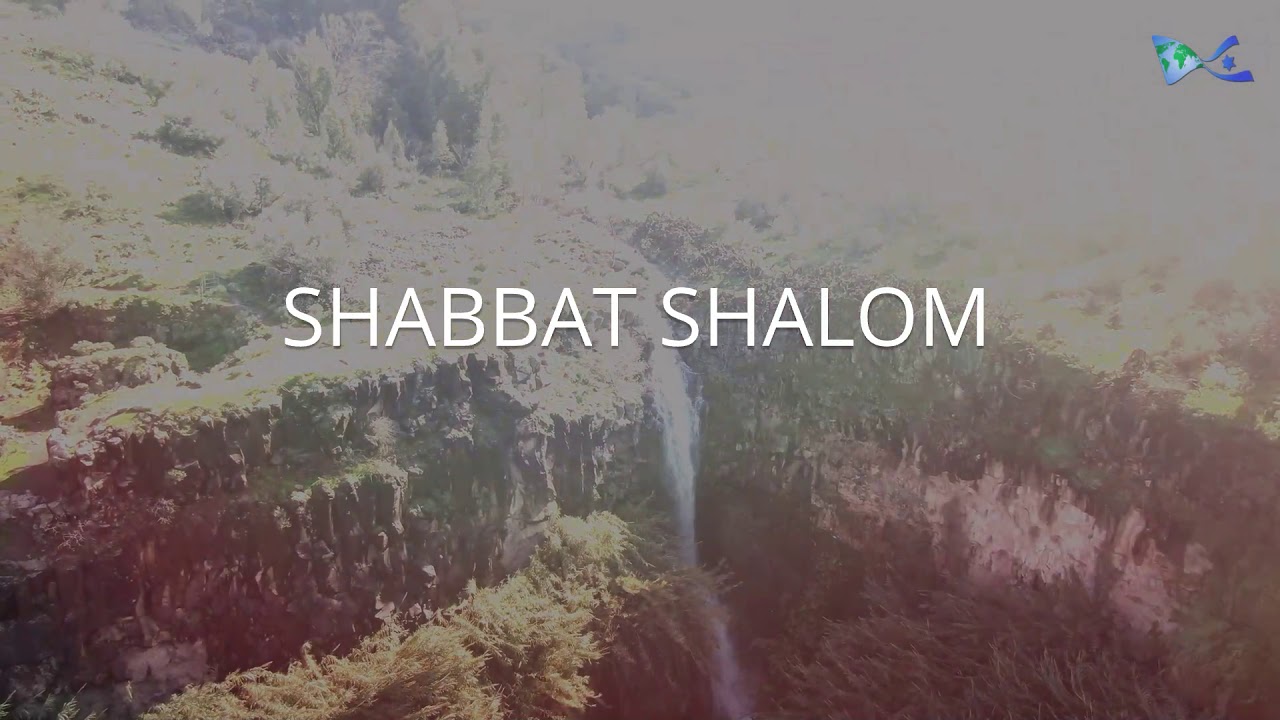 Shabbat Shalom !