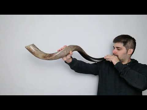 The mouthpiece is really important in shofar. Shabbat shalom!! EN version!!