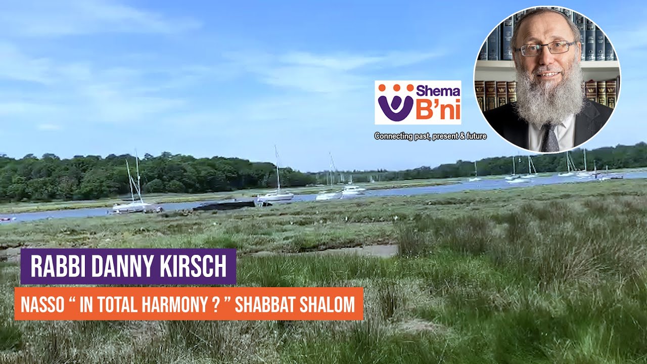 Nasso “ in total Harmony ? ” Shabbat shalom  –  Rabbi Danny Kirsch