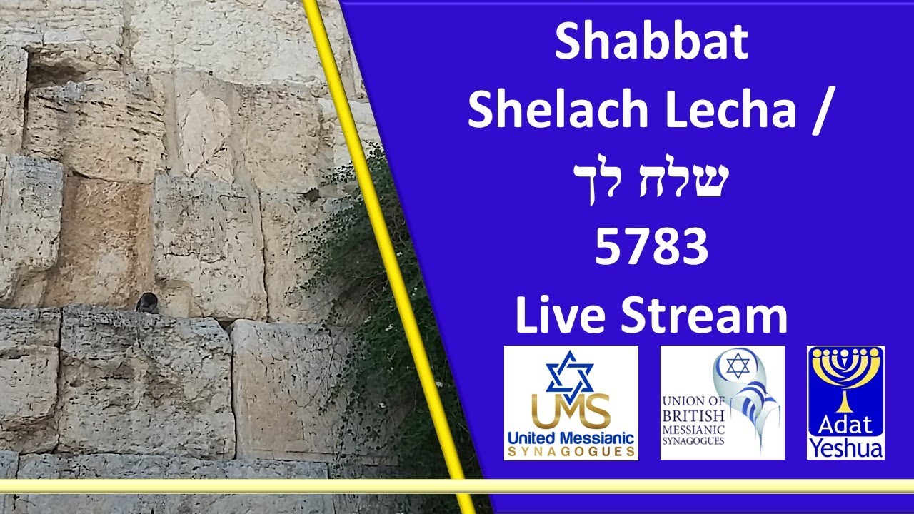 Shabbat Shelach Lecha