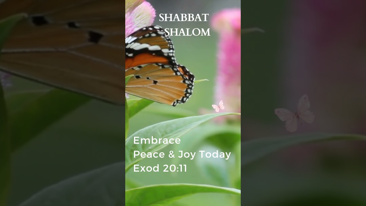 "Shabbat Shalom: Embrace Peace and Joy" Experience the tranquility and happiness of Shabbat!