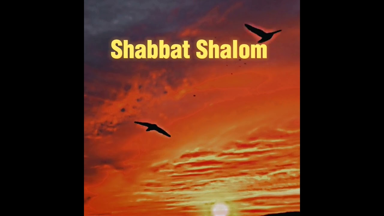 Shabbat Shalom, #shabbat #shalom #shortsvideo