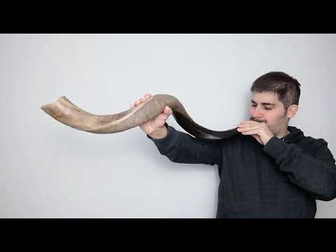 Torah Vs tradición: 4 toques de Shofar? Shabbat shalom!!