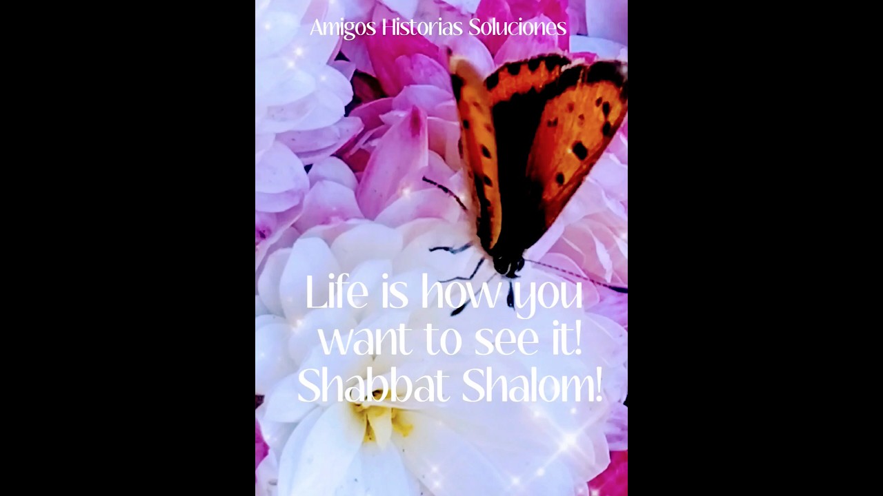 Life is how you want to see it! Shabbat¡ La vida es como quieres verla! ¡Shabat shalom! #shortvideo😉